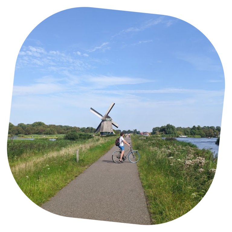 landscape showing a windmill and bike lane